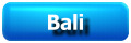 Bali Travelogue