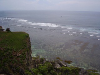Bali coral reef
