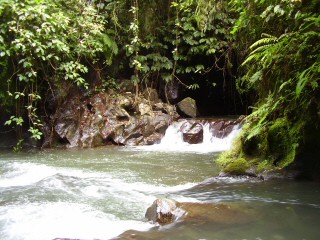 Bali tropical river