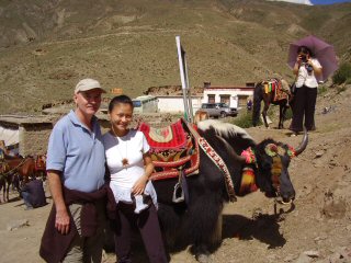 yak in Tibet